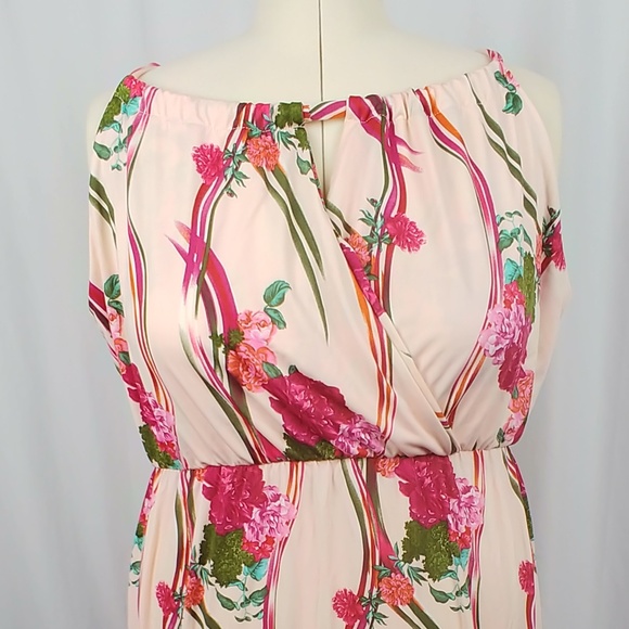 Flirty Brand Dresses & Skirts - Flirty Pink Brand Maxi Dress Pink Floral Plus 2X
